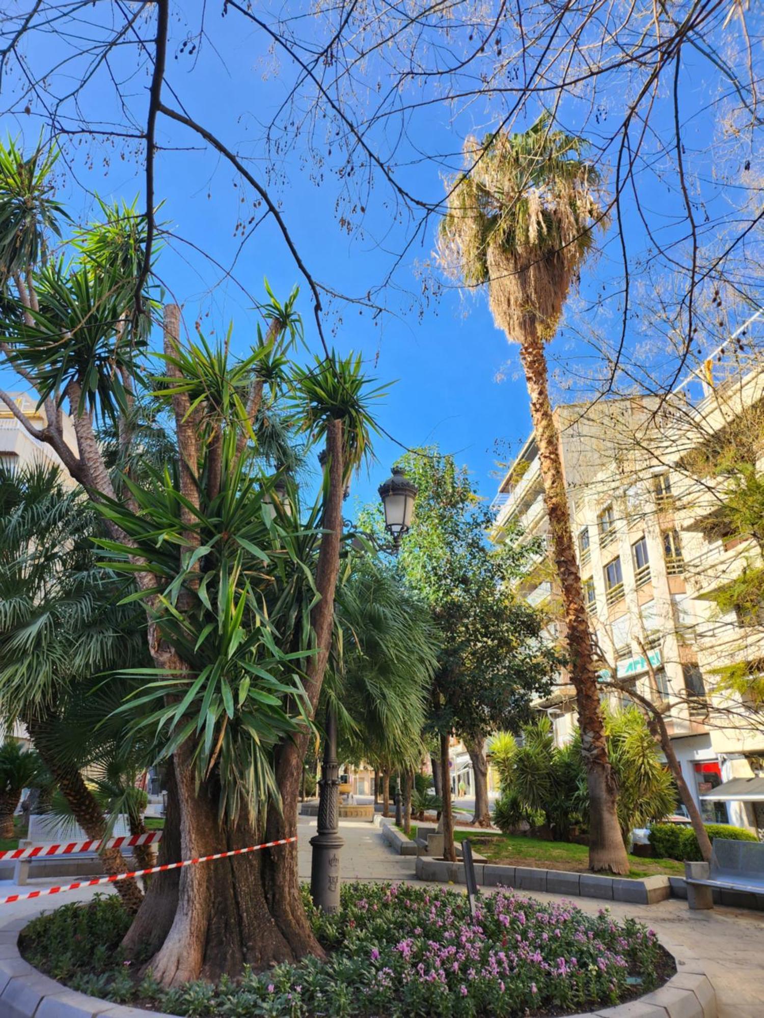 Apartamento De 3 Dormitorios Jardinillos Centro Хаен Екстер'єр фото